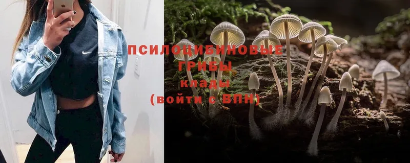 Галлюциногенные грибы MAGIC MUSHROOMS  купить наркотик  Улан-Удэ 